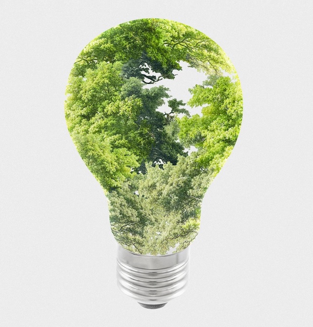 sustainable-energy-campaign-tree-light-bulb-media-remix_53876-104090